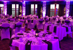 uplighting, wedding reception, ft myers, fl
