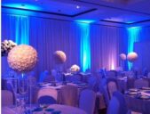 led blue uplighting, ft Myers, sanibel , captive Island